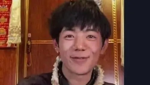 丁真妈妈回应儿子入职国企，丁真在走红之前的主要工作是什么？