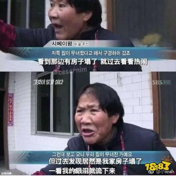 我家房子塌了是什么梗