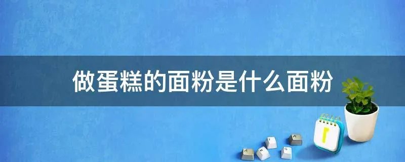 做蛋糕的面粉是什么面粉