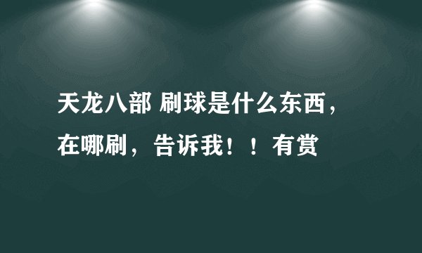 天龙八部 刷球是什么东西，在哪刷，告诉我！！有赏