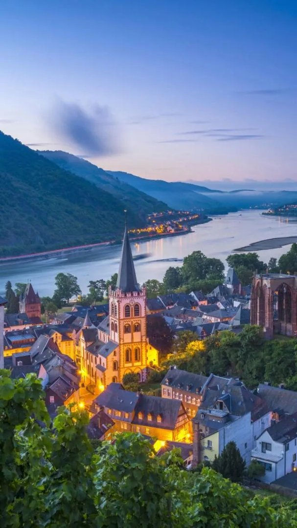 杨幂谈自己演技得“慢慢来”,各位网友网友怎么看?