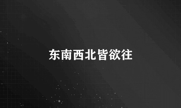 东南西北皆欲往