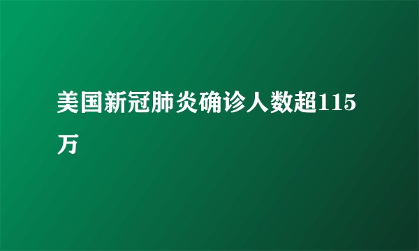 美国新冠肺炎确诊人数超115万