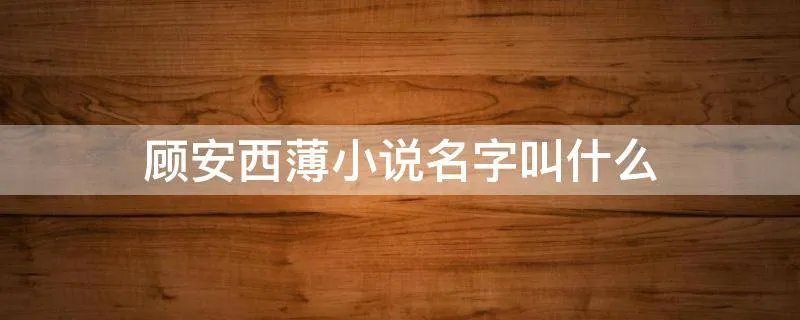 顾安西薄小说名字叫什么