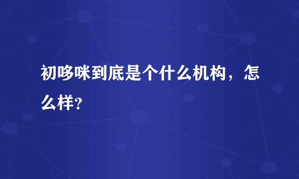 初哆咪到底是个什么机构，怎么样？